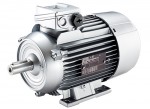 Electric motor 1LE1001-1DB43-4AA4-Z