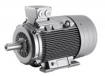 Electric motor 1LG4223-2AA60