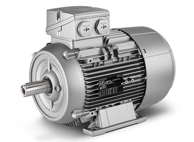 Electric motor 1LE1002-2AD53-4AA4