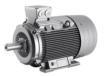 Electric motor 1LG6313-8AB60